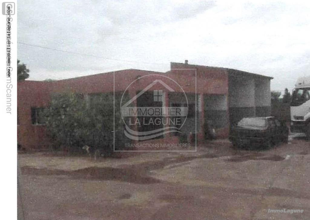 Agence Immobilière Saly Sénégal - T2766 - Terrain à DOUGAR - T2766-terrain-bord-de-route-a-dougar-senegal-en-vente