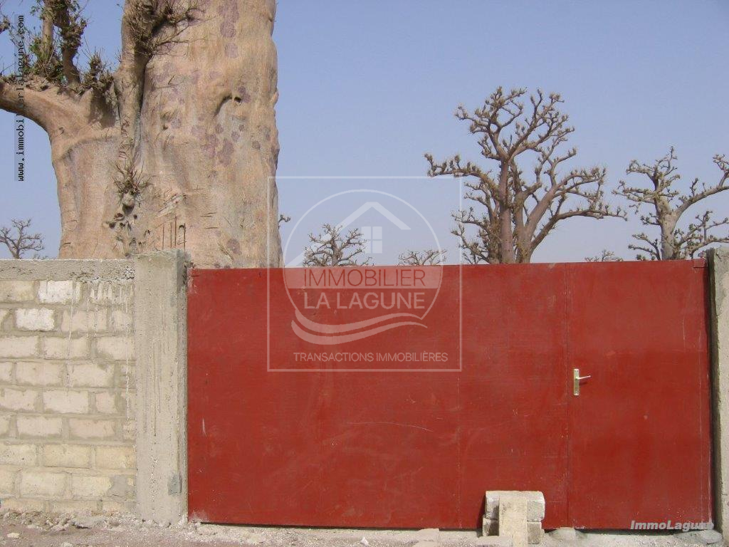 Agence Immobilière Saly Sénégal - T2710 - Terrain à NGUEKHOKH - T2710-terrain-en-vente-a-nguekokh-senegal