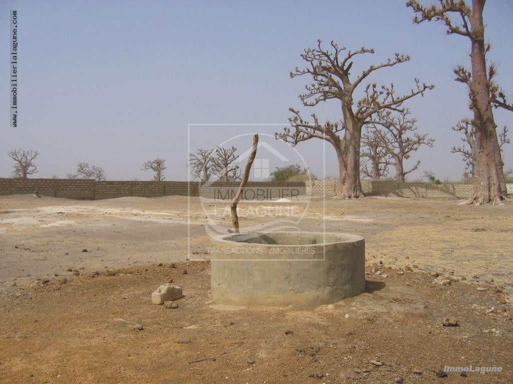 Agence Immobilière Saly Sénégal - T2710 - Terrain à NGUEKHOKH - T2710-terrain-en-vente-a-nguekokh-senegal