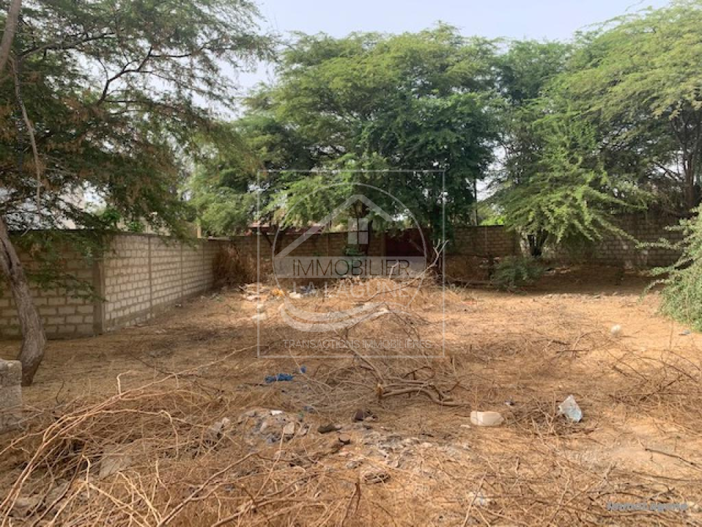 Agence Immobilière Saly Sénégal - T2778 - Terrain à NGAPAROU - T2778 terrain 2eme ligne mer à vendre ngaparou senegal