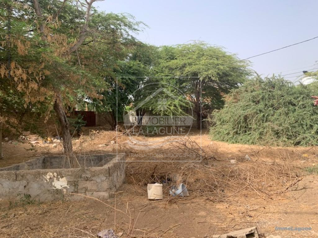 Agence Immobilière Saly Sénégal - T2778 - Terrain à NGAPAROU - T2778 terrain 2eme ligne mer à vendre ngaparou senegal