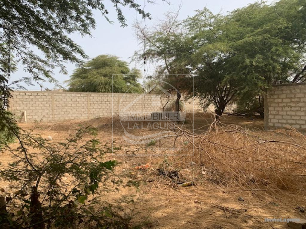 Agence Immobilière Saly Sénégal - T2778 - Terrain à NGAPAROU - T2778 terrain 2eme ligne mer à vendre ngaparou senegal