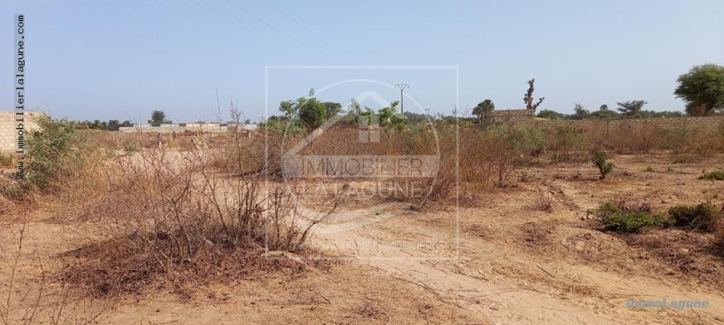 Agence Immobilière Saly Sénégal - T2782 - Terrain à N'DIOROKH - T2782-terrain-a-vendre-a-ndiorokh-senegal