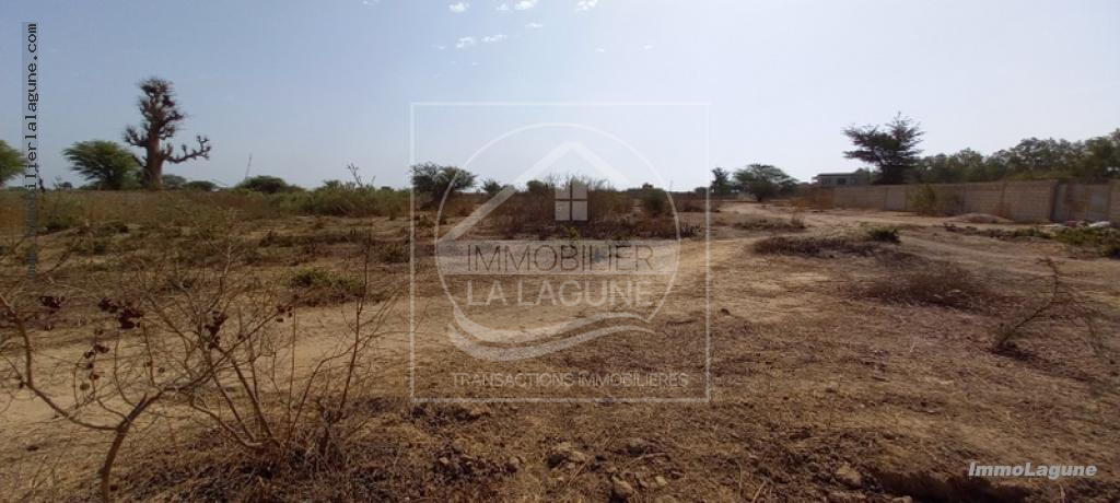 Agence Immobilière Saly Sénégal - T2782 - Terrain à N'DIOROKH - T2782-terrain-a-vendre-a-ndiorokh-senegal