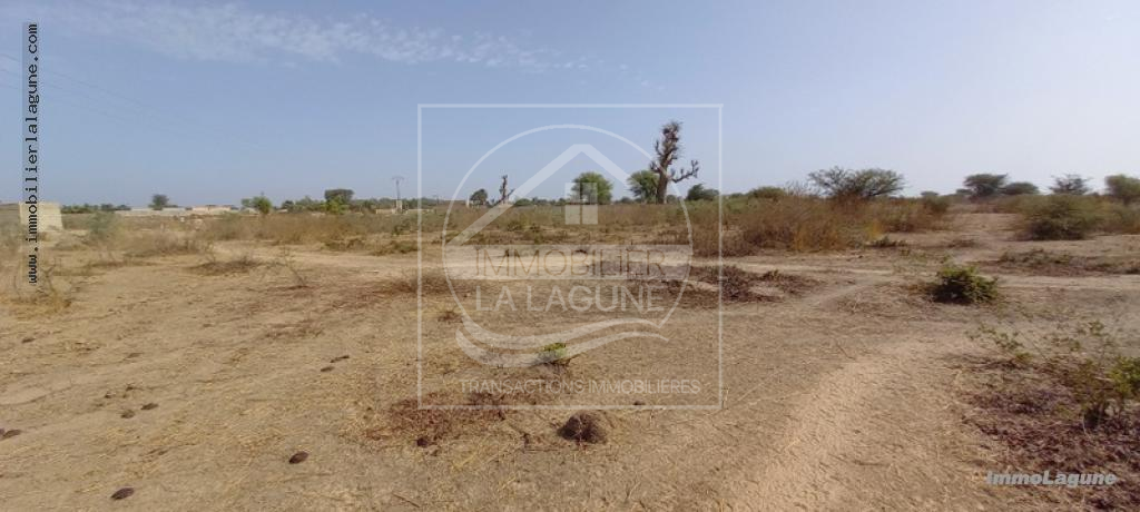 Agence Immobilière Saly Sénégal - T2782 - Terrain à N'DIOROKH - T2782-terrain-a-vendre-a-ndiorokh-senegal