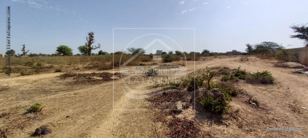 Agence Immobilière Saly Sénégal - T2782 - Terrain à N'DIOROKH - T2782-terrain-a-vendre-a-ndiorokh-senegal