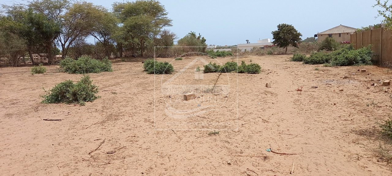 Agence Immobilière Saly Sénégal - T2785 - Terrain à NGAPAROU - T2785-terrain-a-vendre-a-ngaparou