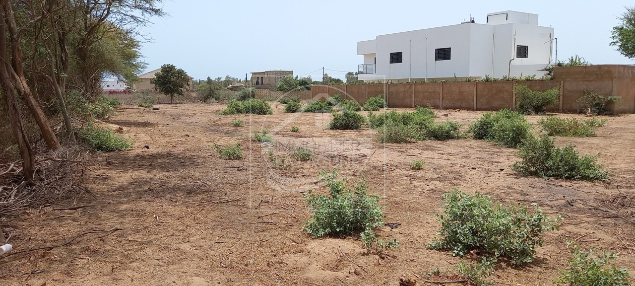 Agence Immobilière Saly Sénégal - T2785 - Terrain à NGAPAROU - T2785-terrain-a-vendre-a-ngaparou