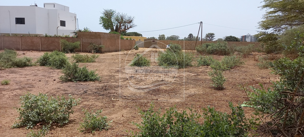 Agence Immobilière Saly Sénégal - T2785 - Terrain à NGAPAROU - T2785-terrain-a-vendre-a-ngaparou