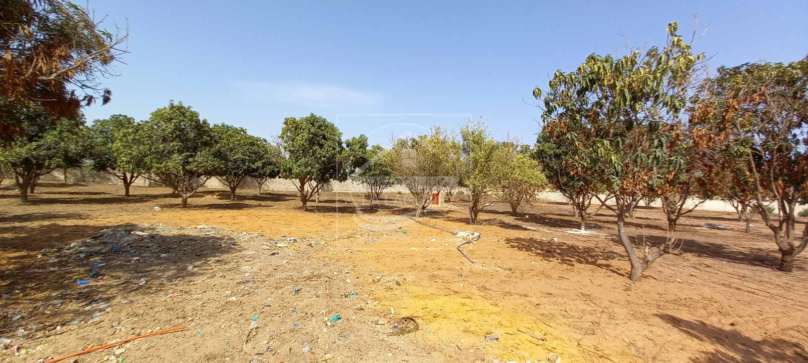 Agence Immobilière Saly Sénégal - T2727 - Terrain à NGAPAROU - 