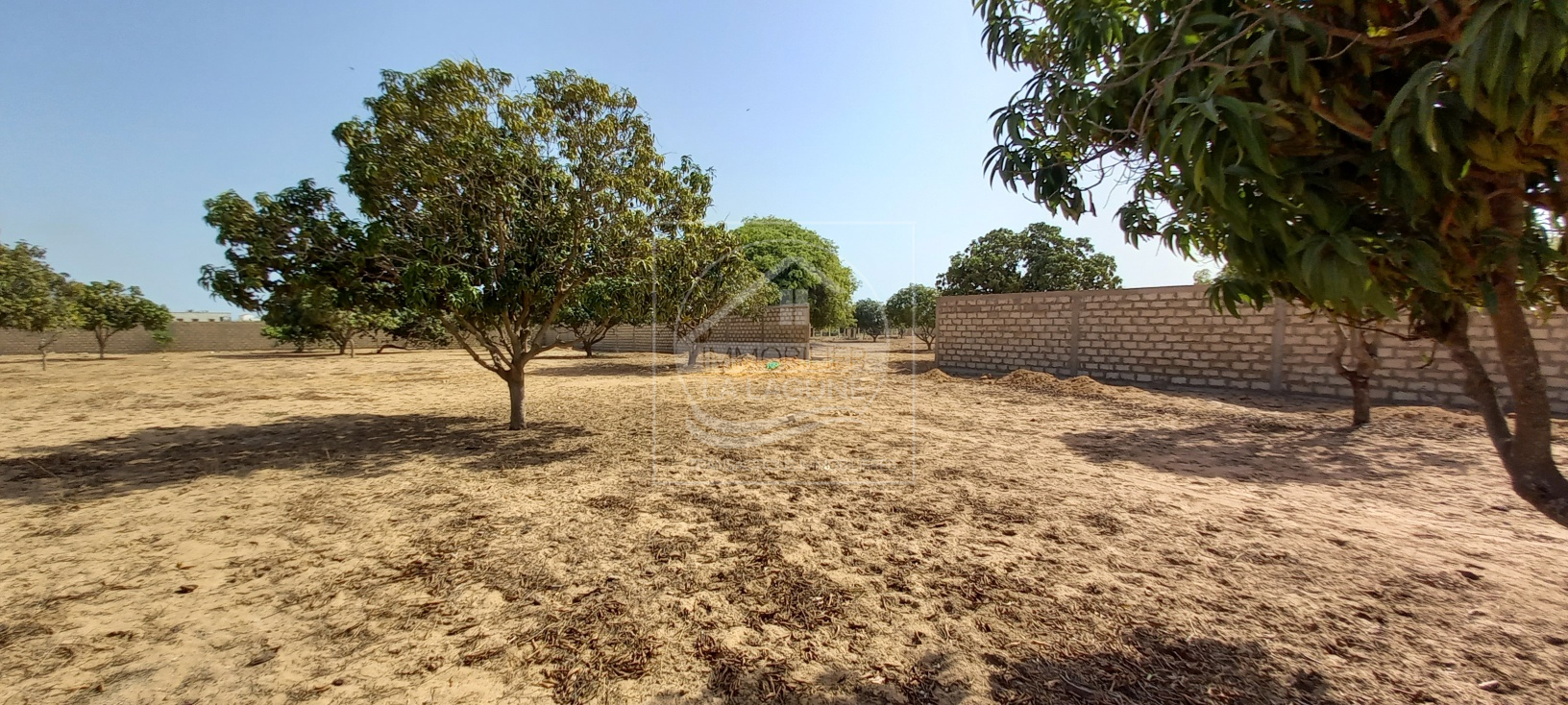 Agence Immobilière Saly Sénégal - T2727 - Terrain à NGAPAROU - 