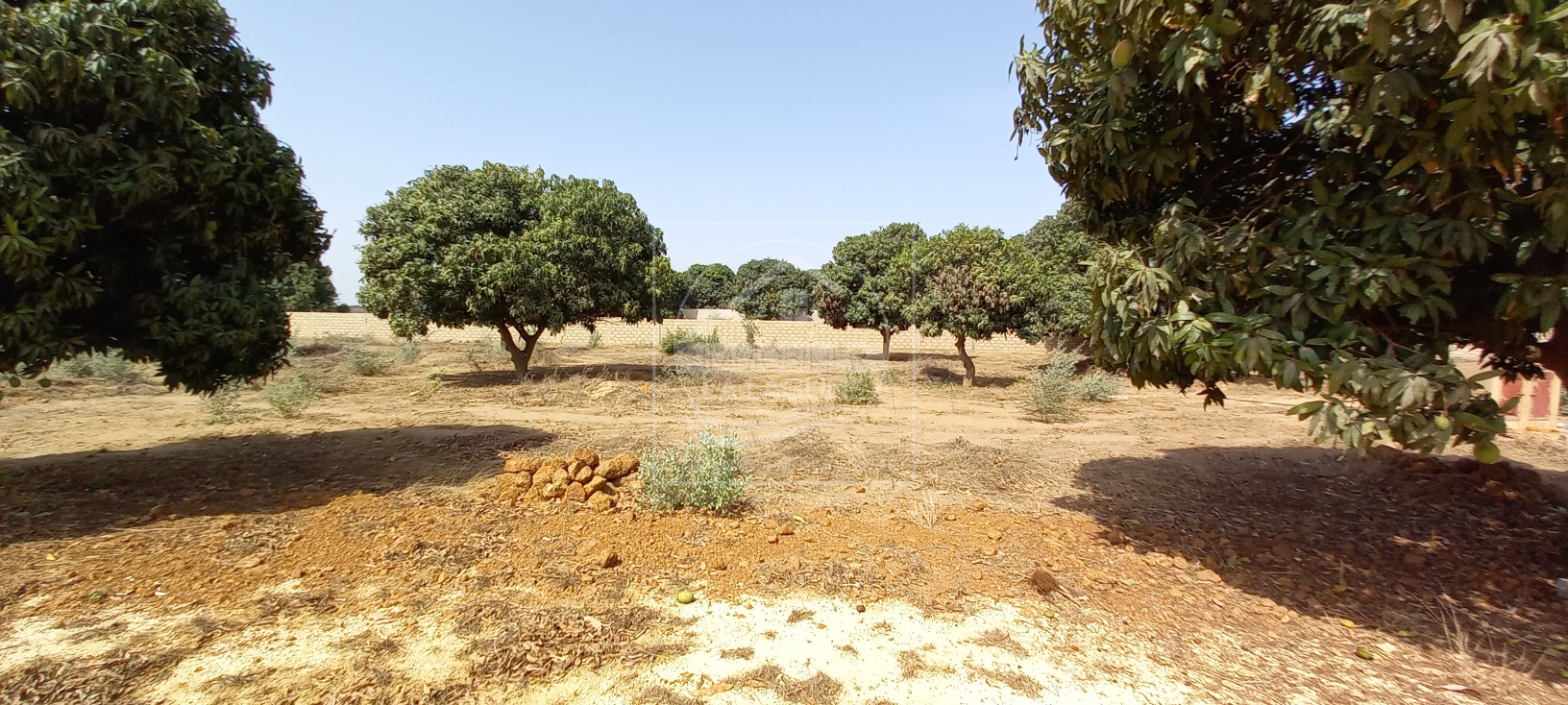 Agence Immobilière Saly Sénégal - T2791 - Terrain à NGAPAROU - T2791-terrain-a-vendre-a-ngaparou-senegal