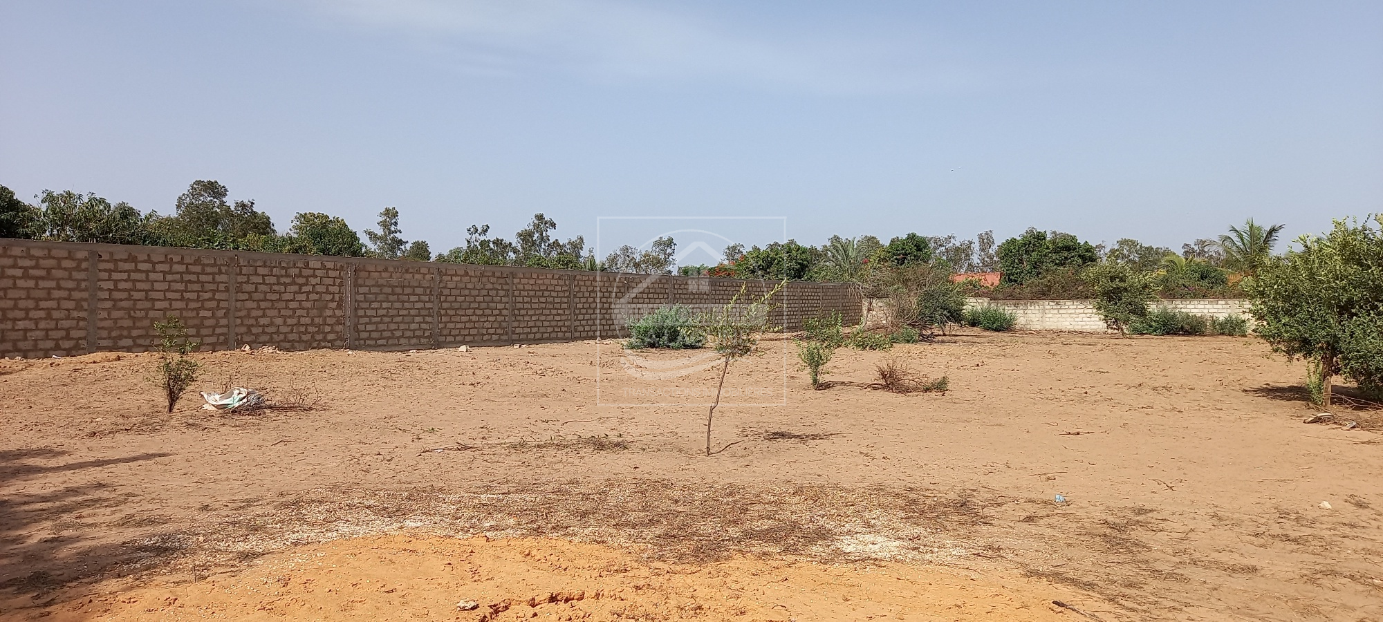 Agence Immobilière Saly Sénégal - T2794 - Terrain à NGAPAROU - T2794-terrain-a-vendre-a-ngaparou-senegal