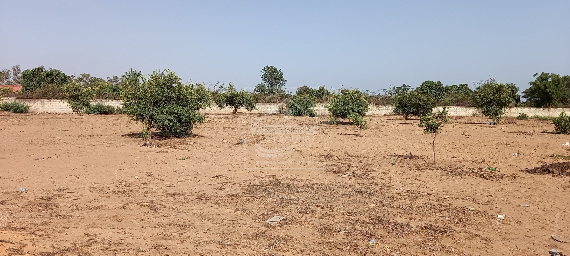 Agence Immobilière Saly Sénégal - T2794 - Terrain à NGAPAROU - T2794-terrain-a-vendre-a-ngaparou-senegal