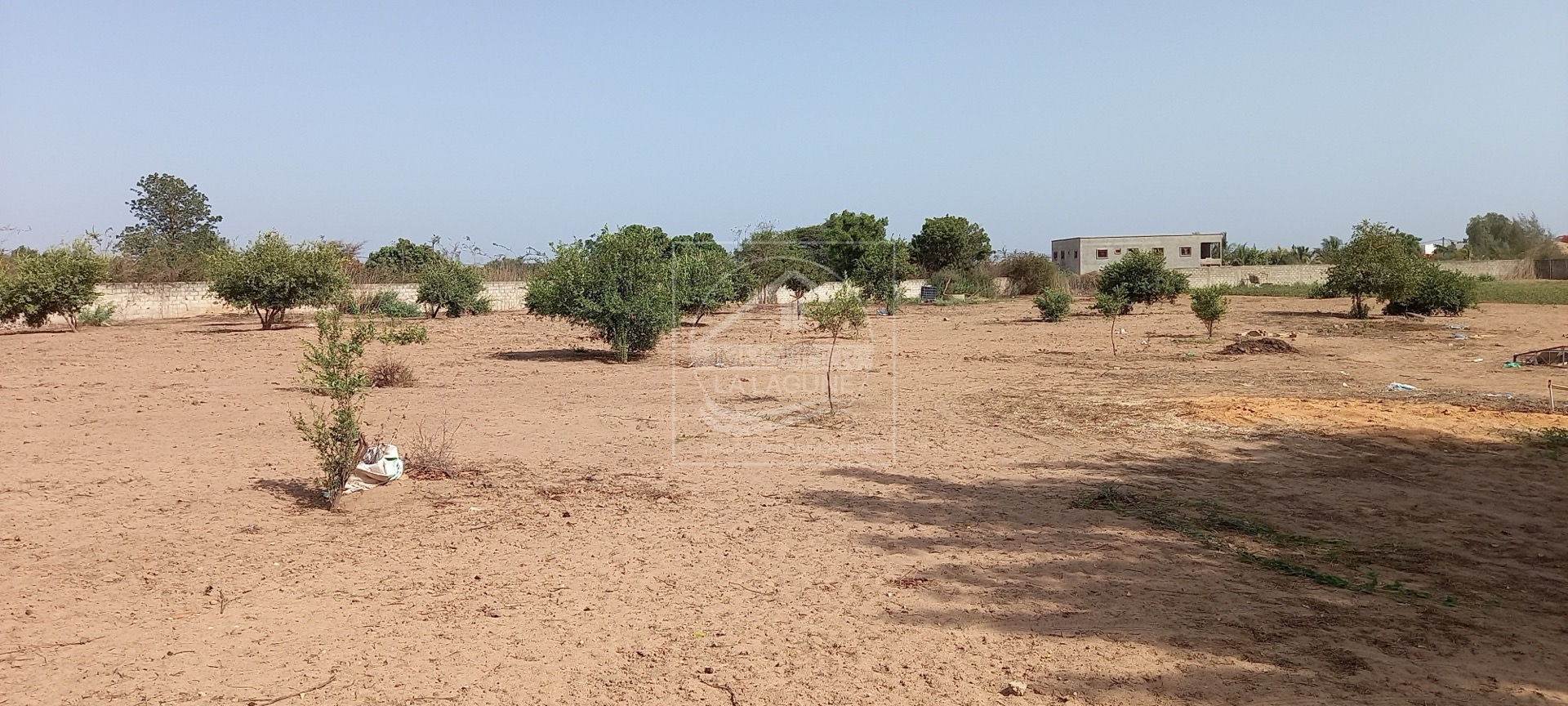 Agence Immobilière Saly Sénégal - T2794 - Terrain à NGAPAROU - T2794-terrain-a-vendre-a-ngaparou-senegal