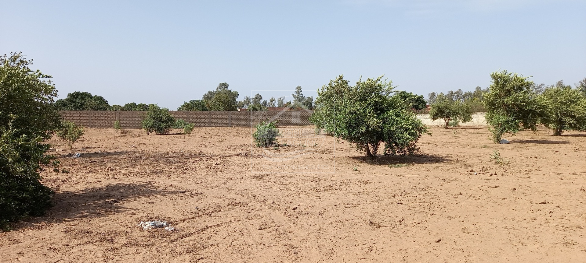 Agence Immobilière Saly Sénégal - T2794 - Terrain à NGAPAROU - T2794-terrain-a-vendre-a-ngaparou-senegal