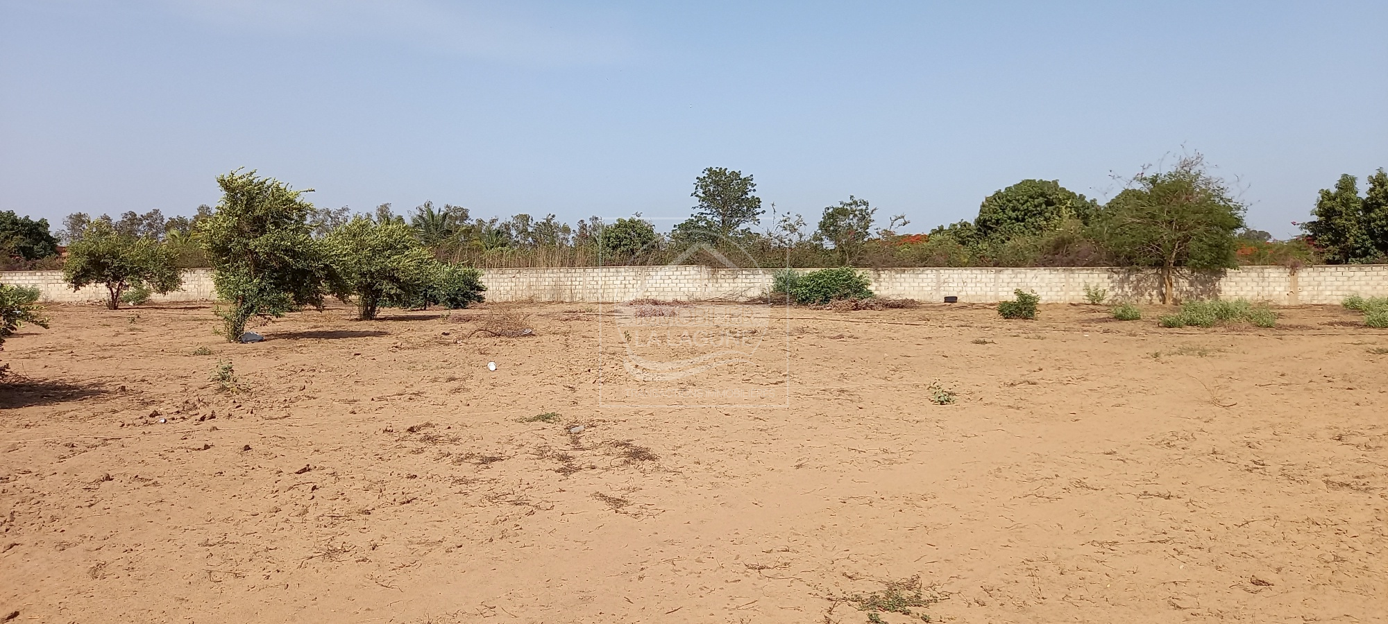 Agence Immobilière Saly Sénégal - T2794 - Terrain à NGAPAROU - T2794-terrain-a-vendre-a-ngaparou-senegal