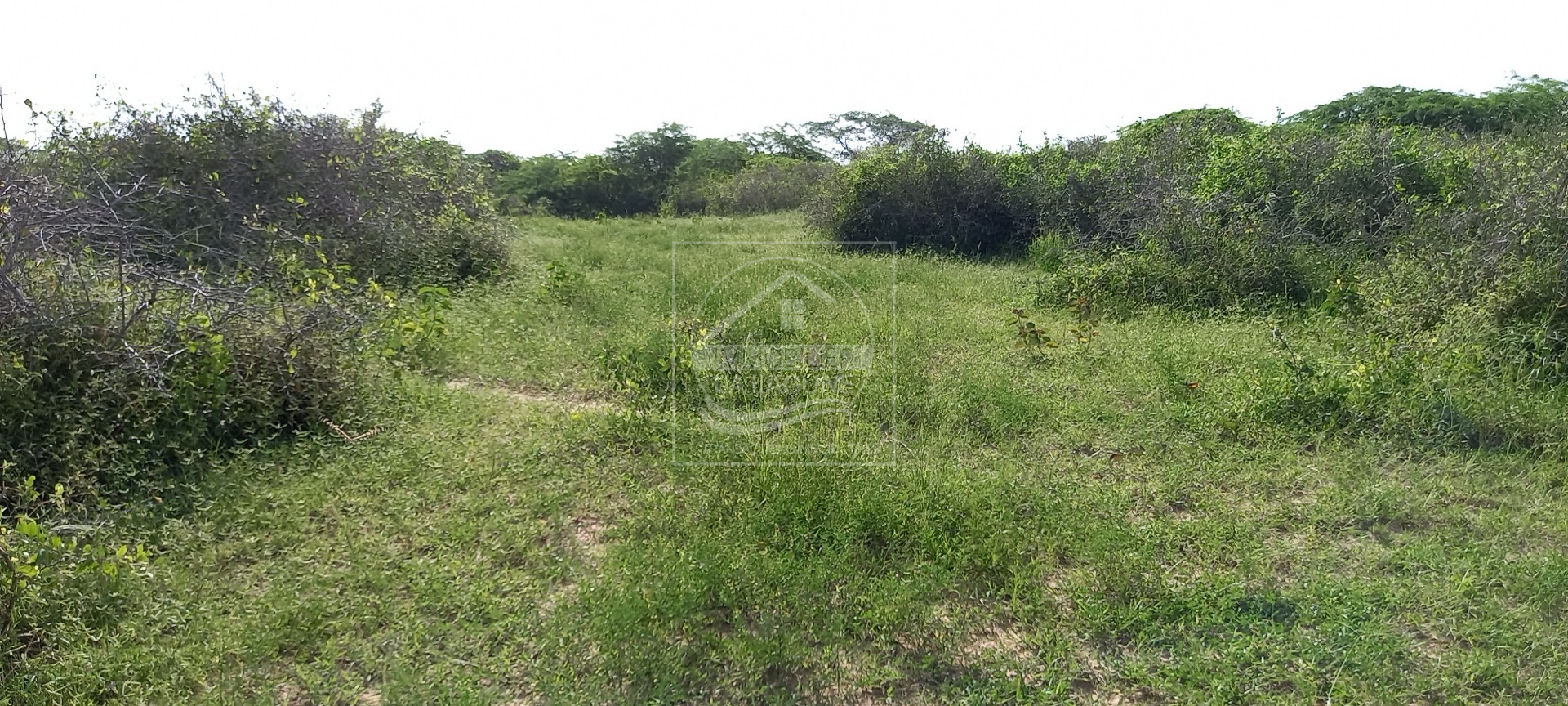 Agence Immobilière Saly Sénégal - T1815 - Terrain à PALMARIN - 