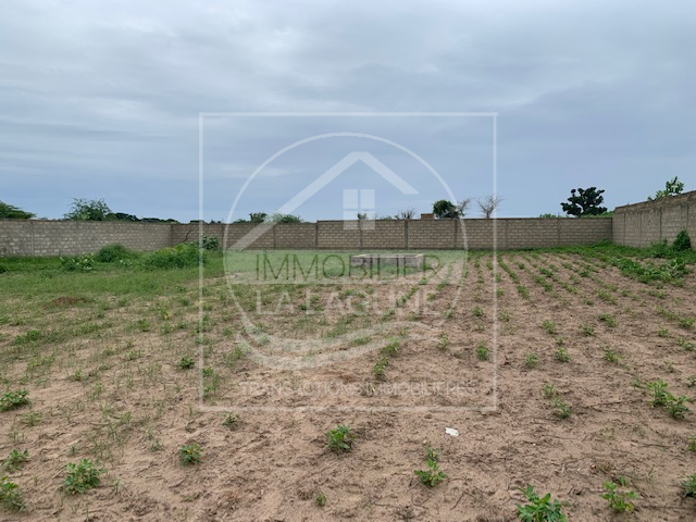 Agence Immobilière Saly Sénégal - T2805 - Terrain à MBALING - T2805 Terrain en vente warang mbaling