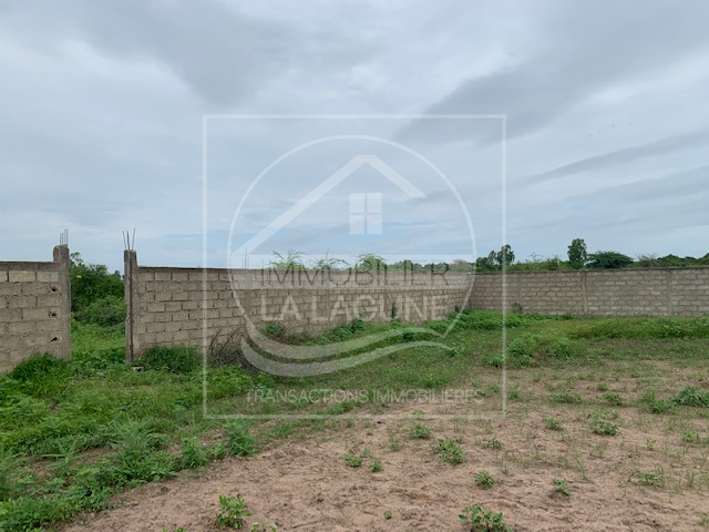 Agence Immobilière Saly Sénégal - T2805 - Terrain à MBALING - T2805 Terrain en vente warang mbaling