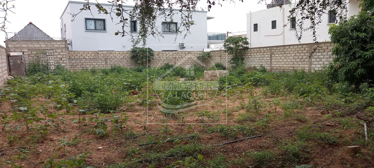 Agence Immobilière Saly Sénégal - T2810 - Terrain à NGAPAROU - T2810-terrain-a-vendre-a-ngaparou-senegal