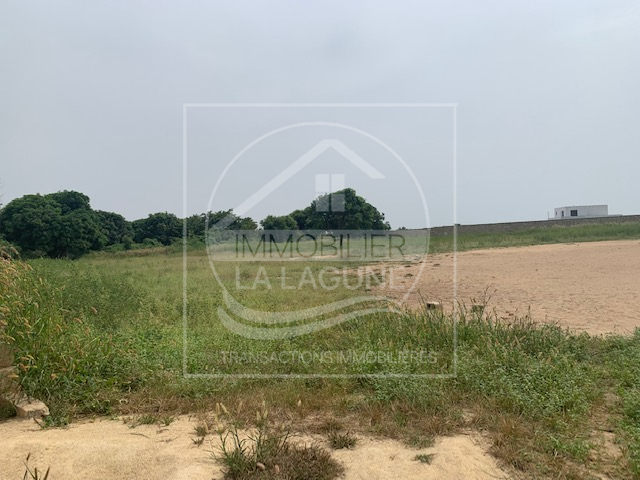 Agence Immobilière Saly Sénégal - T2823 - Terrain à SINTHIANE - T2823 Terrain a vendre sinthiane senegal