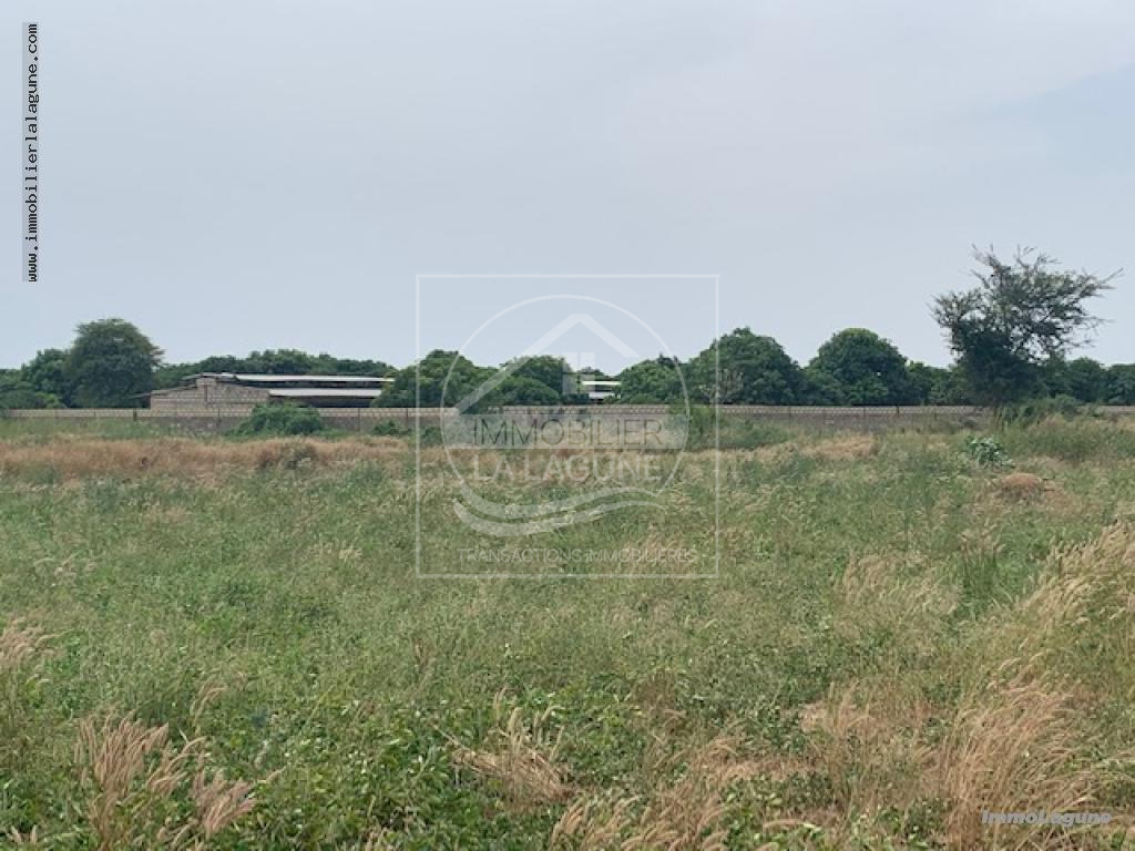 Agence Immobilière Saly Sénégal - T2854 - Terrain à SINTHIANE - T2854 Terrain a vendre  Sinthiane senegal