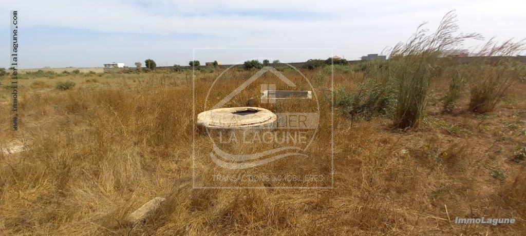 Agence Immobilière Saly Sénégal - T2859 - Terrain à NGUERIGNE - T2859-terrain-a-vendre-a-nguerigne-senegal