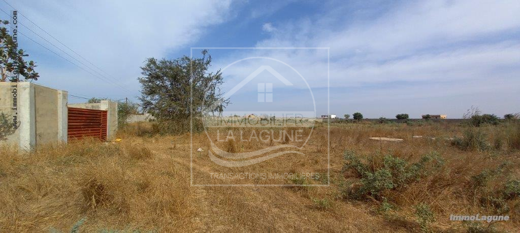 Agence Immobilière Saly Sénégal - T2859 - Terrain à NGUERIGNE - T2859-terrain-a-vendre-a-nguerigne-senegal