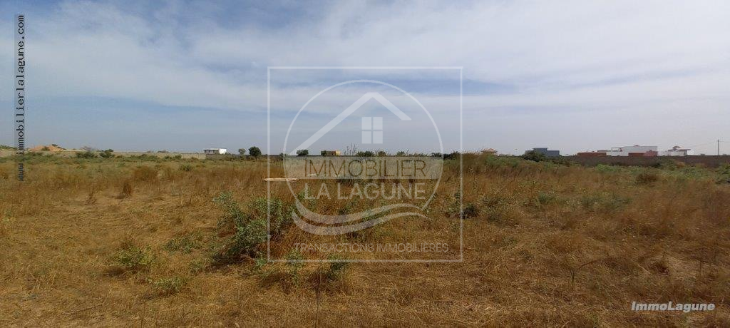 Agence Immobilière Saly Sénégal - T2859 - Terrain à NGUERIGNE - T2859-terrain-a-vendre-a-nguerigne-senegal