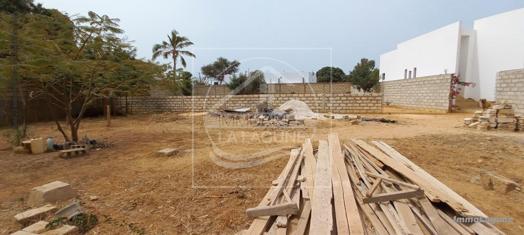 Agence Immobilière Saly Sénégal - T2902 - Terrain à NGAPAROU - 