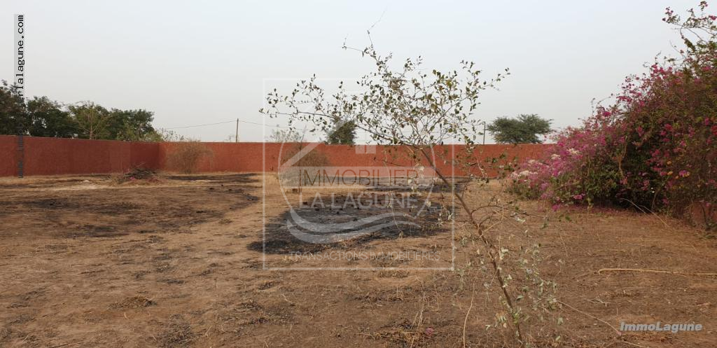 Agence Immobilière Saly Sénégal - T2914 - Terrain à NGUERIGNE - T2914-terrain-a-vendre-a-nguerigne-senegal