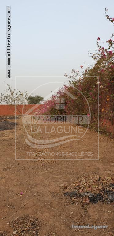 Agence Immobilière Saly Sénégal - T2914 - Terrain à NGUERIGNE - T2914-terrain-a-vendre-a-nguerigne-senegal