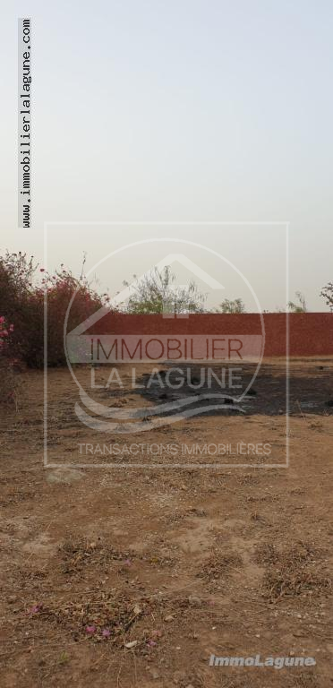 Agence Immobilière Saly Sénégal - T2914 - Terrain à NGUERIGNE - T2914-terrain-a-vendre-a-nguerigne-senegal