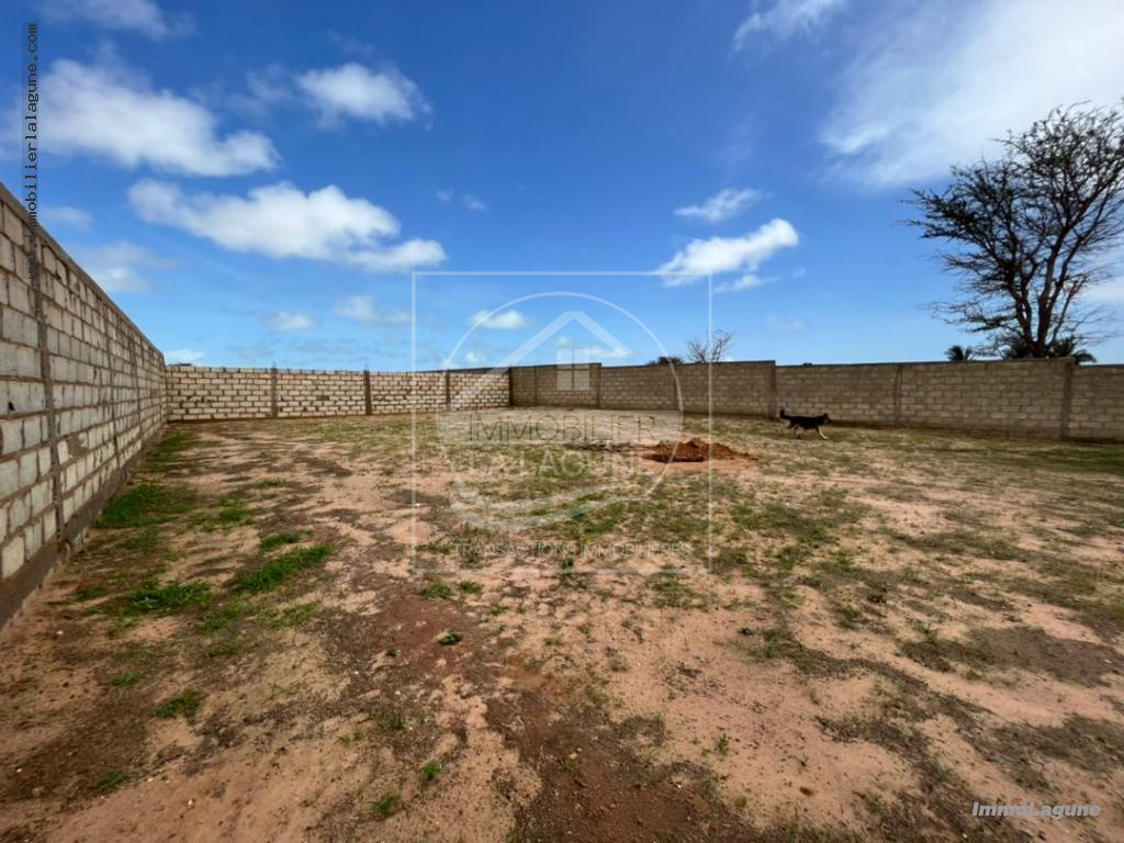 Agence Immobilière Saly Sénégal - T2935 - Terrain à NGUERIGNE - T2935 Terrain à vendre Nguerigne