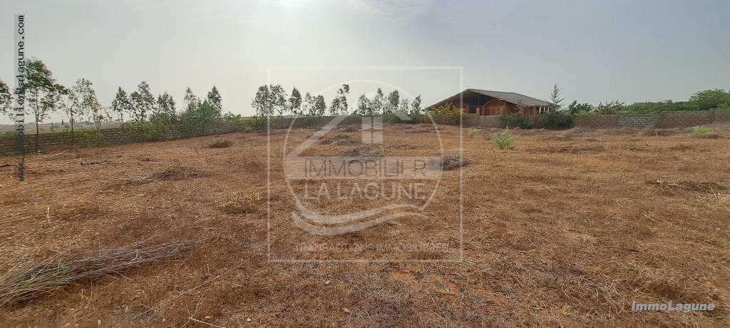 Agence Immobilière Saly Sénégal - T3000 - Terrain à Guéréo - T3000-terrain-a-vendre-a-guereo-senegal