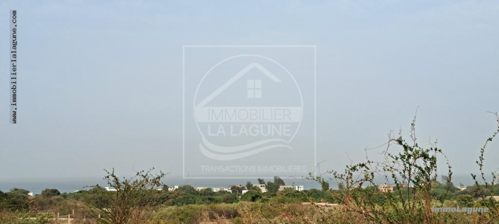 Agence Immobilière Saly Sénégal - T3001 - Terrain à Guéréo - T3001-terrain-a-vendre-a-guereo-senegal