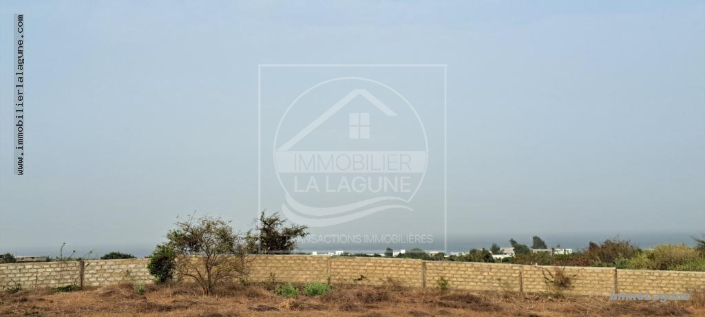 Agence Immobilière Saly Sénégal - T3001 - Terrain à Guéréo - T3001-terrain-a-vendre-a-guereo-senegal