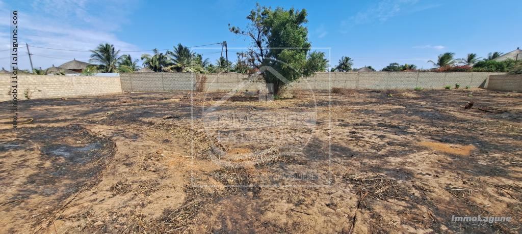 Agence Immobilière Saly Sénégal - T3002 - Terrain à NGAPAROU - T3002-terrain-a-vendre-a-ngaparou-senegal