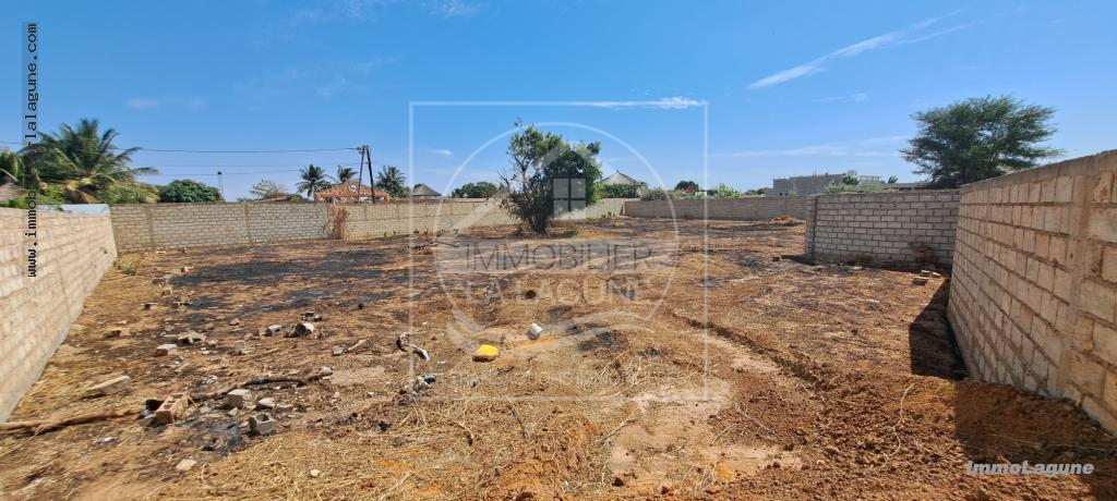 Agence Immobilière Saly Sénégal - T3002 - Terrain à NGAPAROU - T3002-terrain-a-vendre-a-ngaparou-senegal