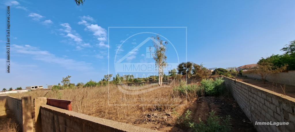 Agence Immobilière Saly Sénégal - T3038 - Terrain à NGAPAROU - T3038-terrain-a-vendre-a-ngaparou-senegal