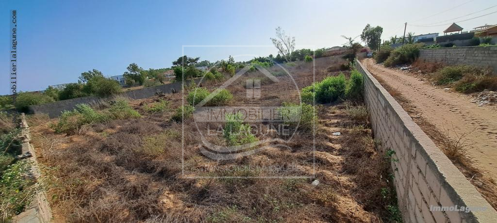 Agence Immobilière Saly Sénégal - T3038 - Terrain à NGAPAROU - T3038-terrain-a-vendre-a-ngaparou-senegal