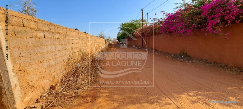 Agence Immobilière Saly Sénégal - T3038 - Terrain à NGAPAROU - T3038-terrain-a-vendre-a-ngaparou-senegal