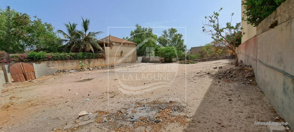 Agence Immobilière Saly Sénégal - T3049 - Terrain à  - T3049-terrain-a-vendre-a-saly-senegal