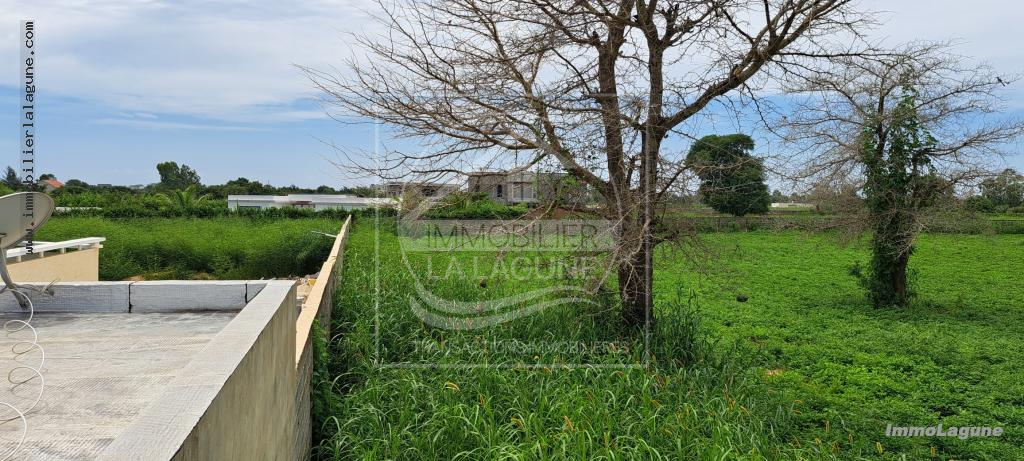 Agence Immobilière Saly Sénégal - T3066 - Terrain à NGUERIGNE - T3066-terrain-a-vendre-a-nguerigne