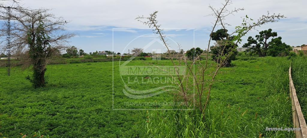 Agence Immobilière Saly Sénégal - T3066 - Terrain à NGUERIGNE - T3066-terrain-a-vendre-a-nguerigne