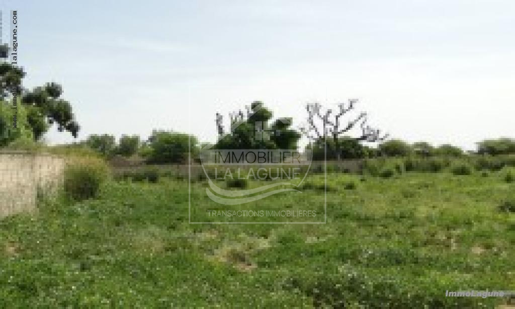 Agence Immobilière Saly Sénégal - T3066 - Terrain à NGUERIGNE - 