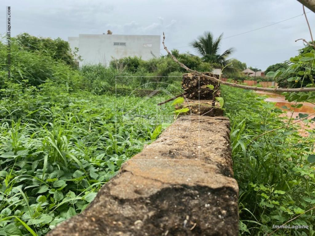 Agence Immobilière Saly Sénégal - T3071 - Terrain à SOMONE - T3071 terrain a vendre somone senegal