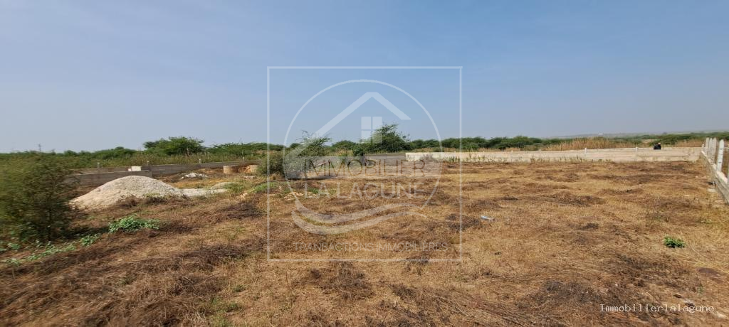 Agence Immobilière Saly Sénégal - T3090 - Terrain à Guéréo - T3090-terrain-a-vendre-a-guereo-senegal