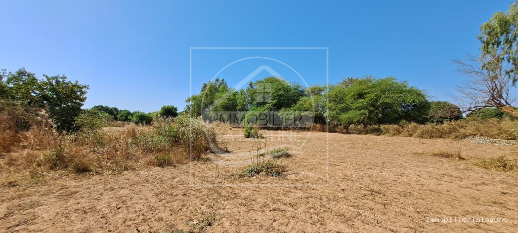 Agence Immobilière Saly Sénégal - T3103 - Terrain à NGUEKHOKH - T3103-terrain-a-vendre-a-nguekokh-senegal